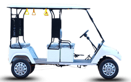 Ecco Buggy