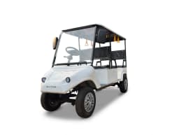 Ecco Buggy