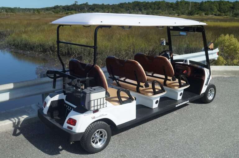 Electric golf cart premium- 6 seater 2 (1)