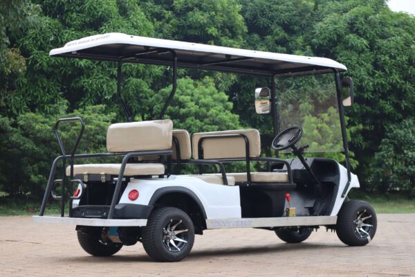 6 Seater Golf cart