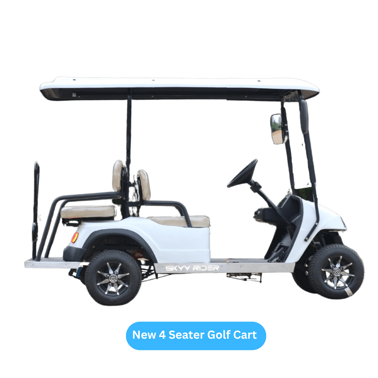 2 Seater golf cart (1)